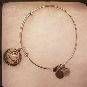 Capricorn Alex and Ani bracelet